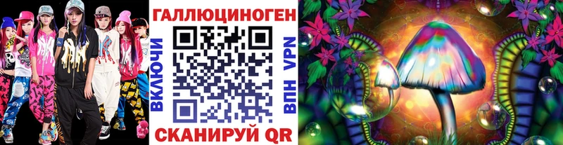 Галлюциногенные грибы Psilocybine cubensis  хочу   Гай 