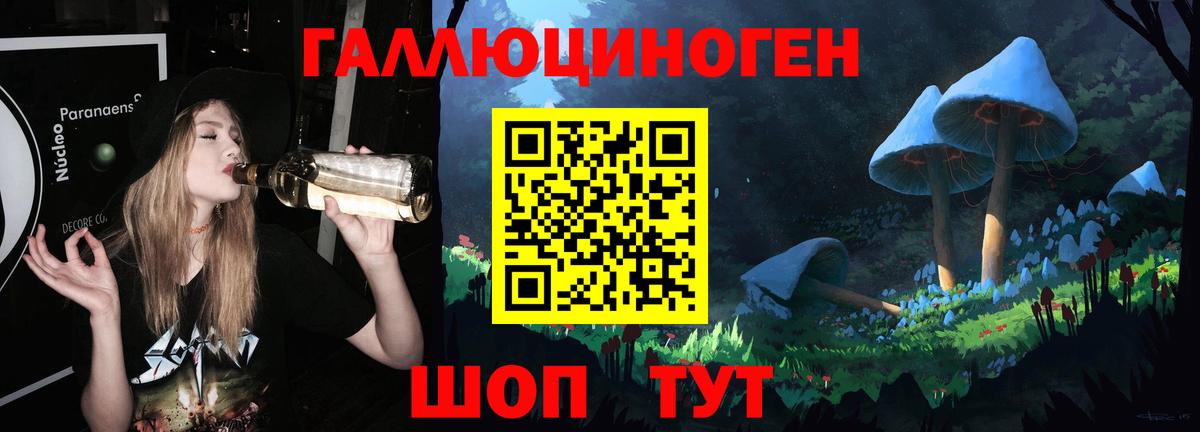 Гай  Галлюциногенные грибы Psilocybe  Вход с VPN 
