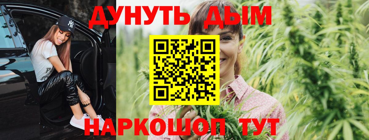 Гай  МАРИХУАНА сатива  Каннабис планчик  Конопля OG Kush  Вход с VPN  Каннабис ГИДРОПОН 