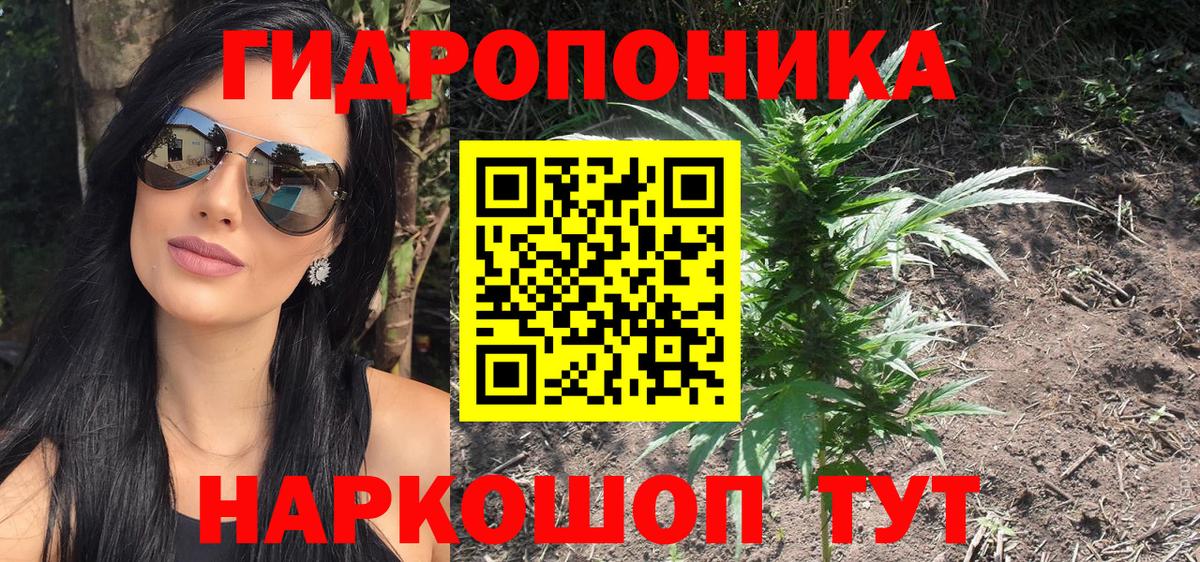 Бошки марихуана THC 21% Гай